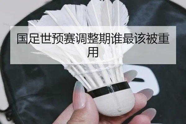 国足世预赛调整期谁最该被重用